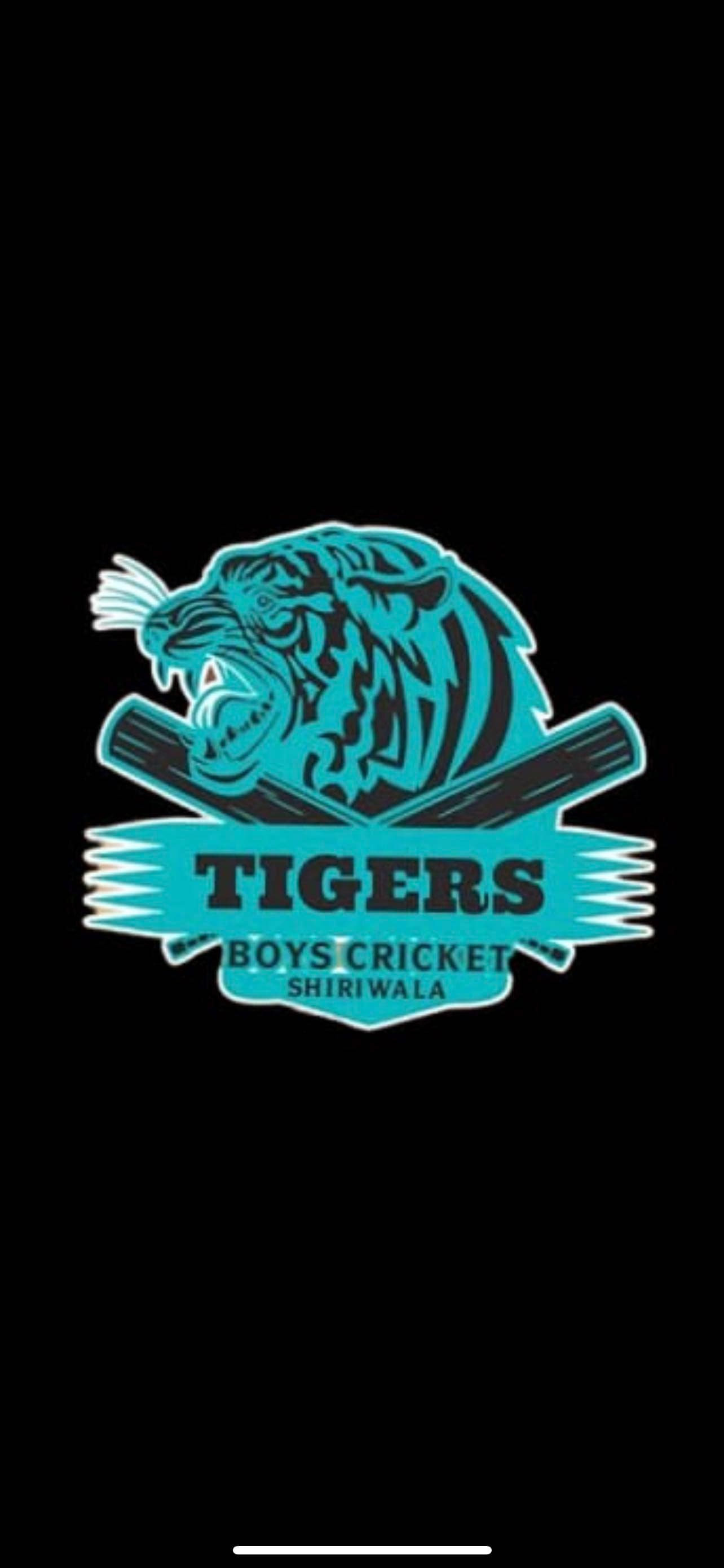 Tiger Boys Cricket