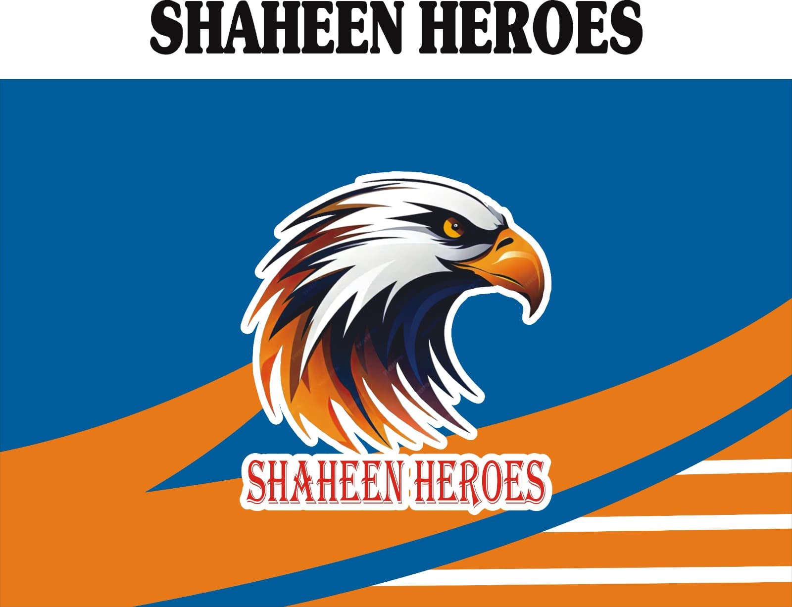 Shaheen Heroes team logo