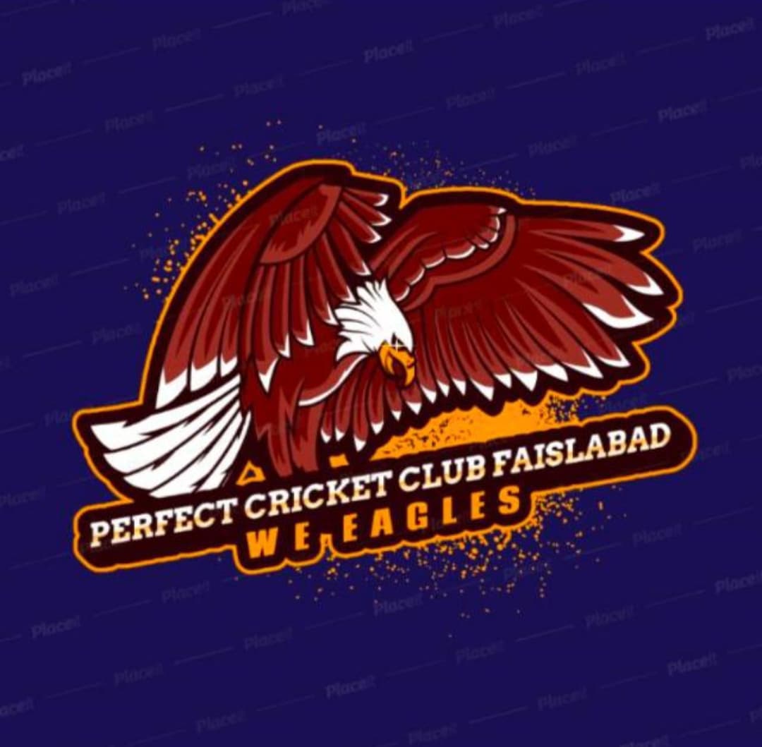 Perfect Cricket Club
