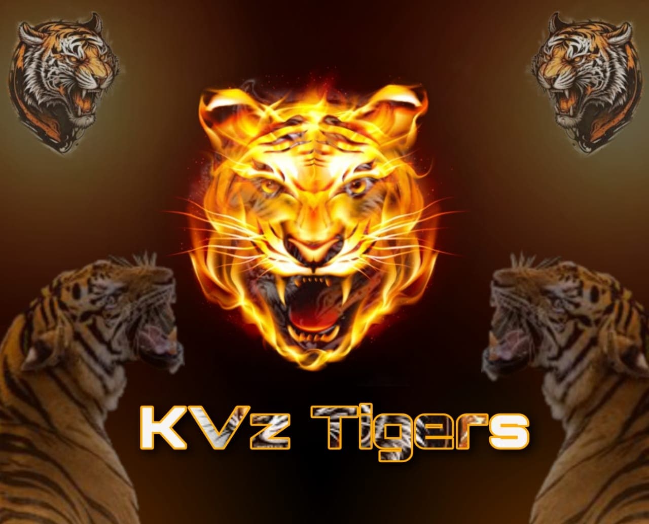 KVz Tigers