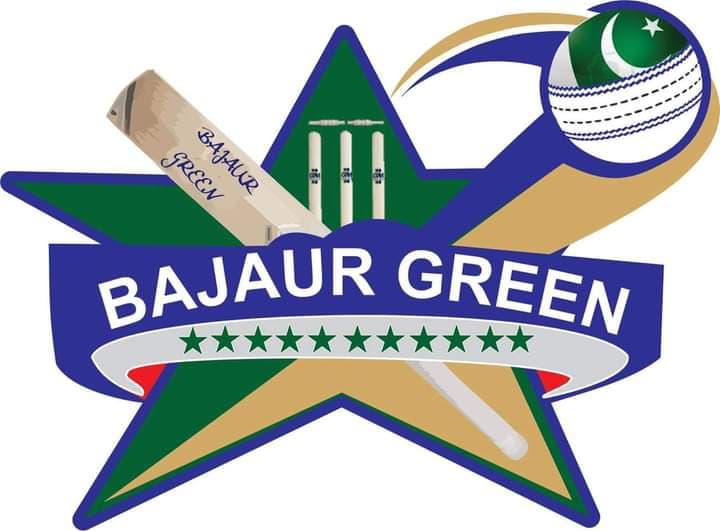 Bajaur green team logo