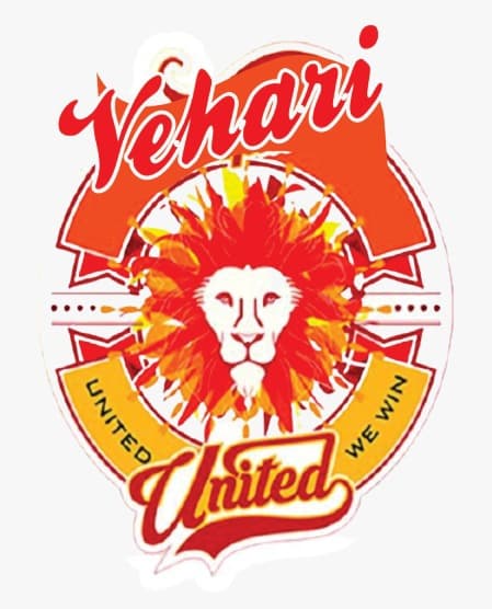 vehari united team logo