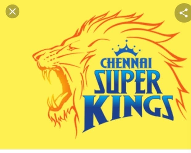 CHENNAI SLINGERS