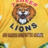 Zaheer lions 17d
