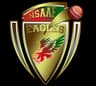 Insaf Eagle