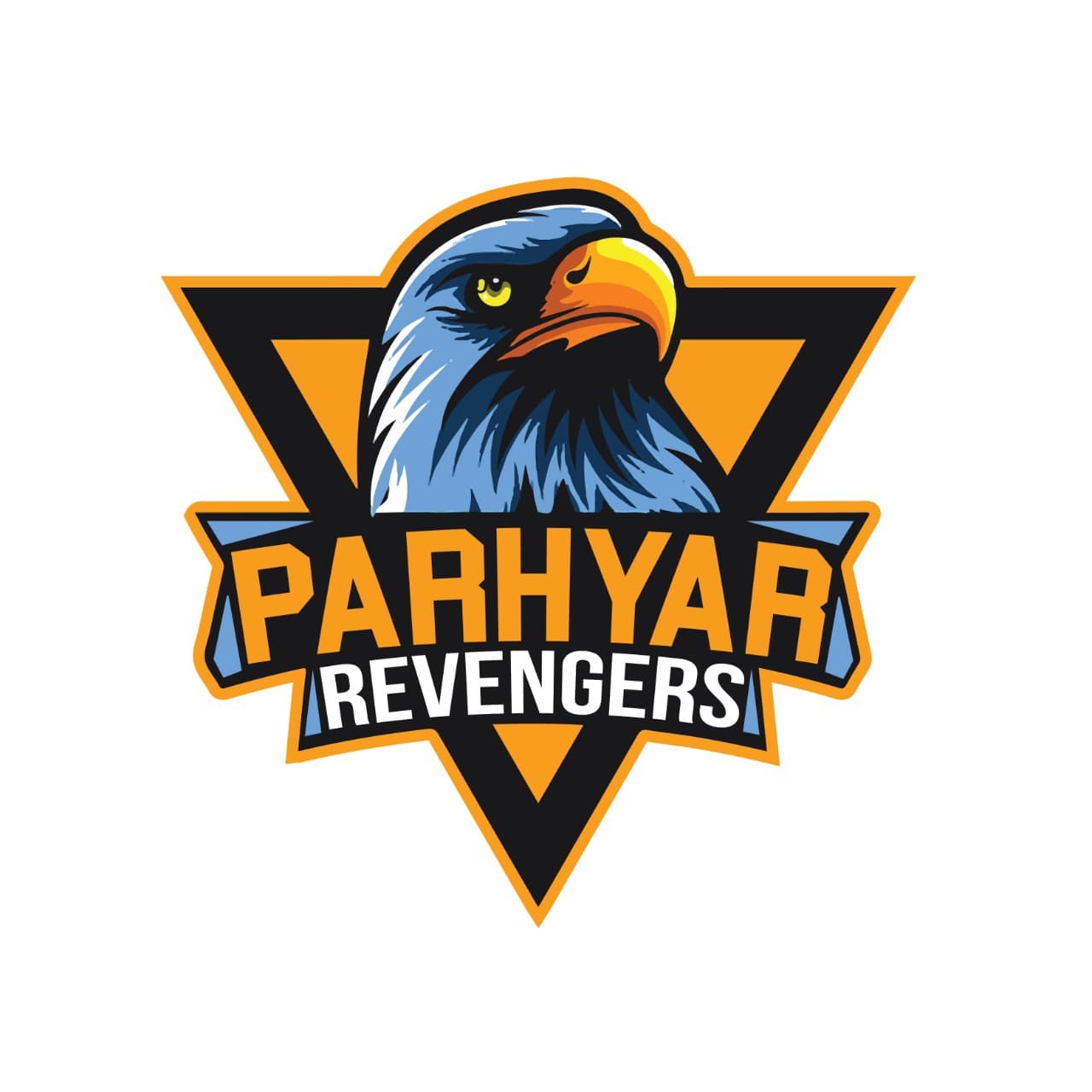 PARHYAR REVENGERS