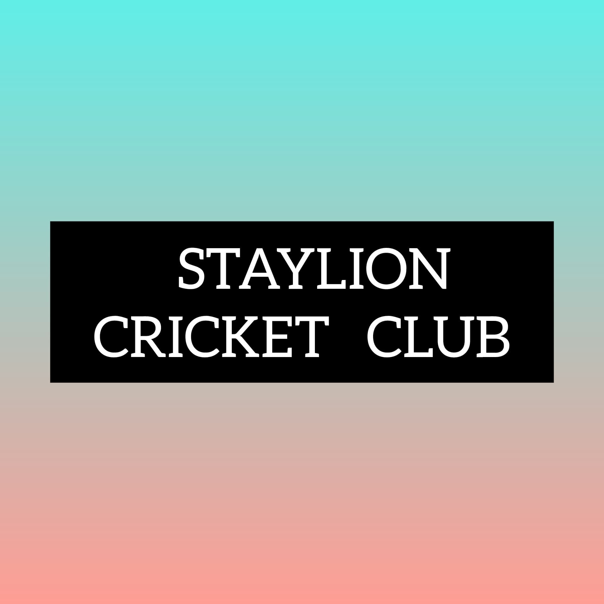 STAYLION Club team logo