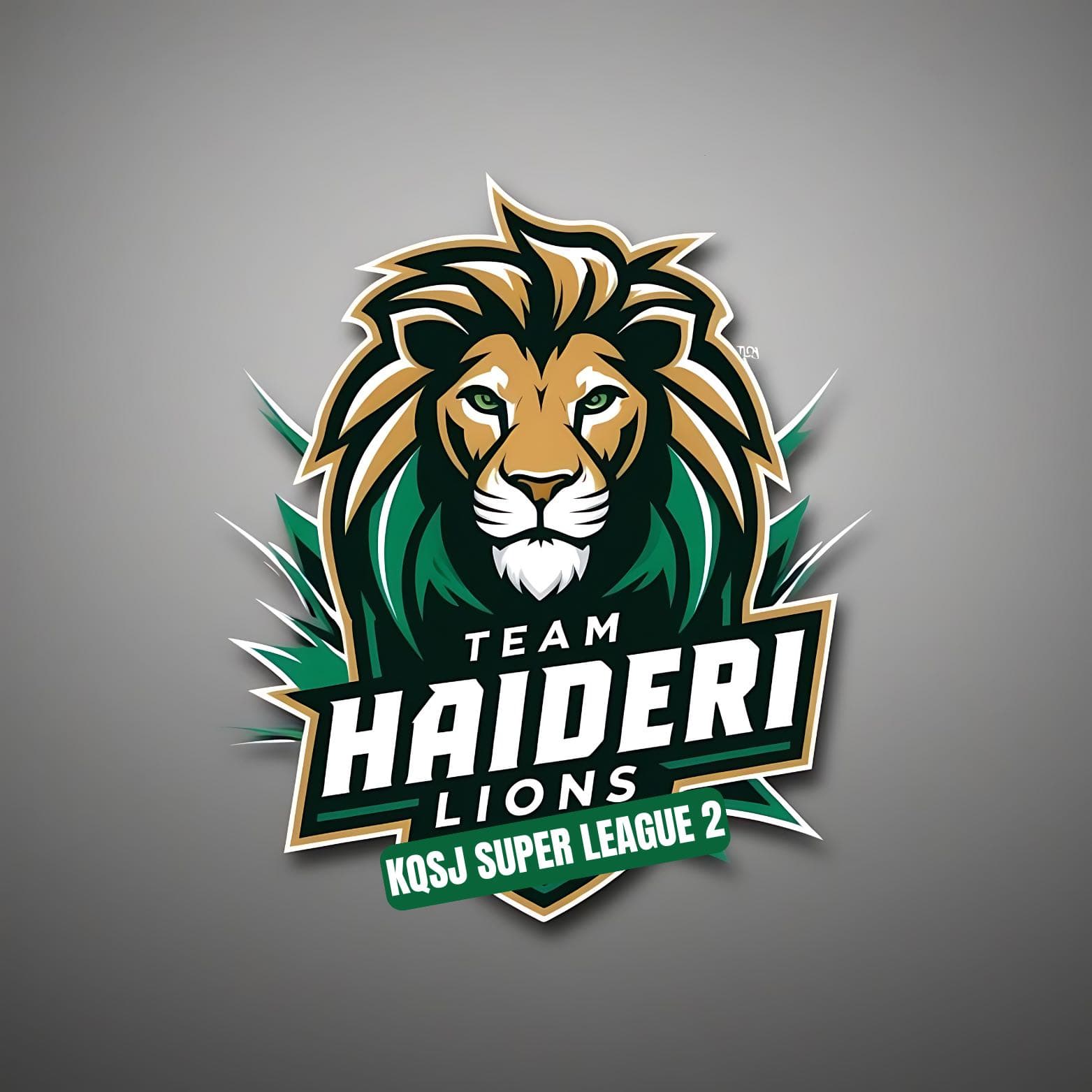 Haideri Lions team logo