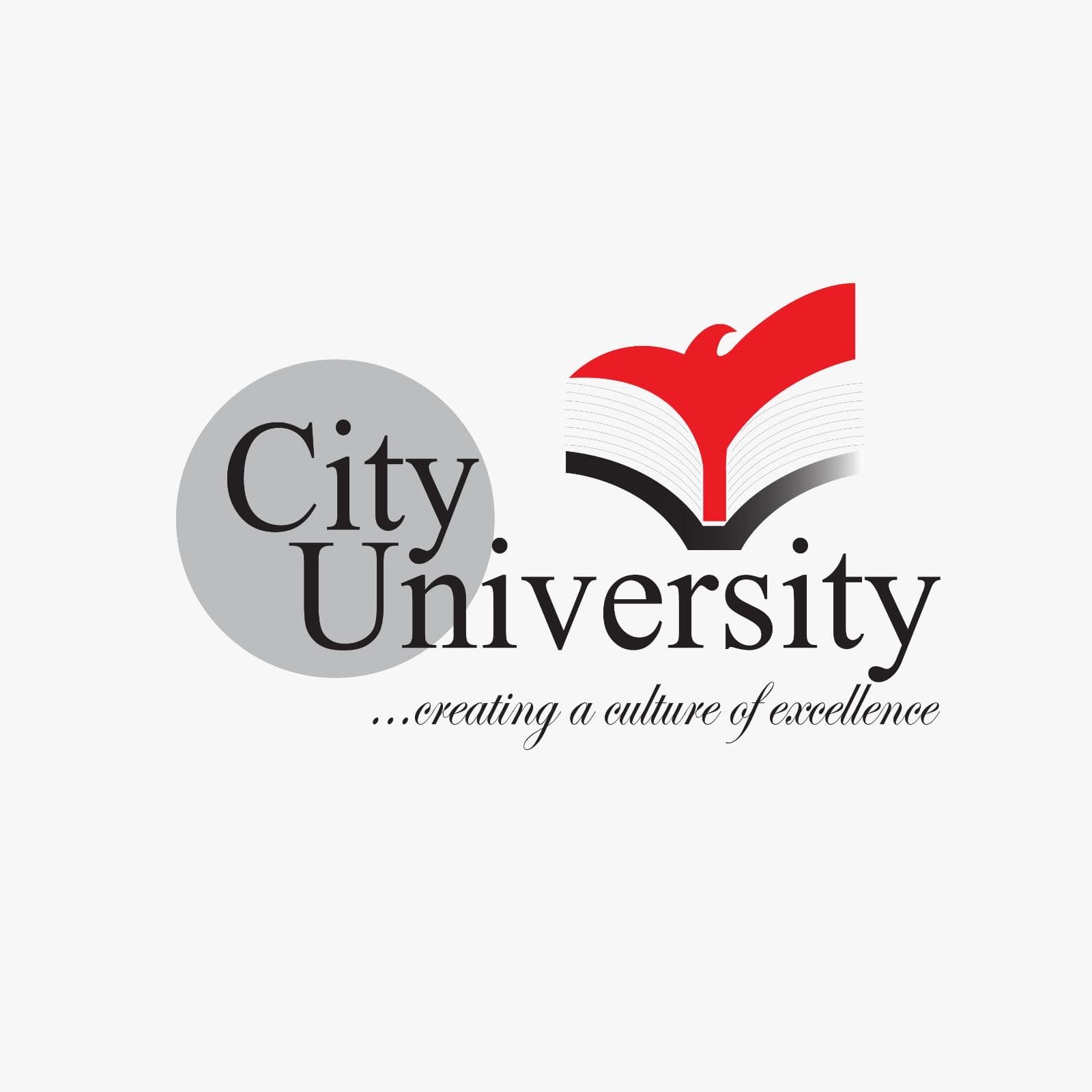 City University team logo