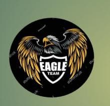 Mazdorabad Eagles team logo