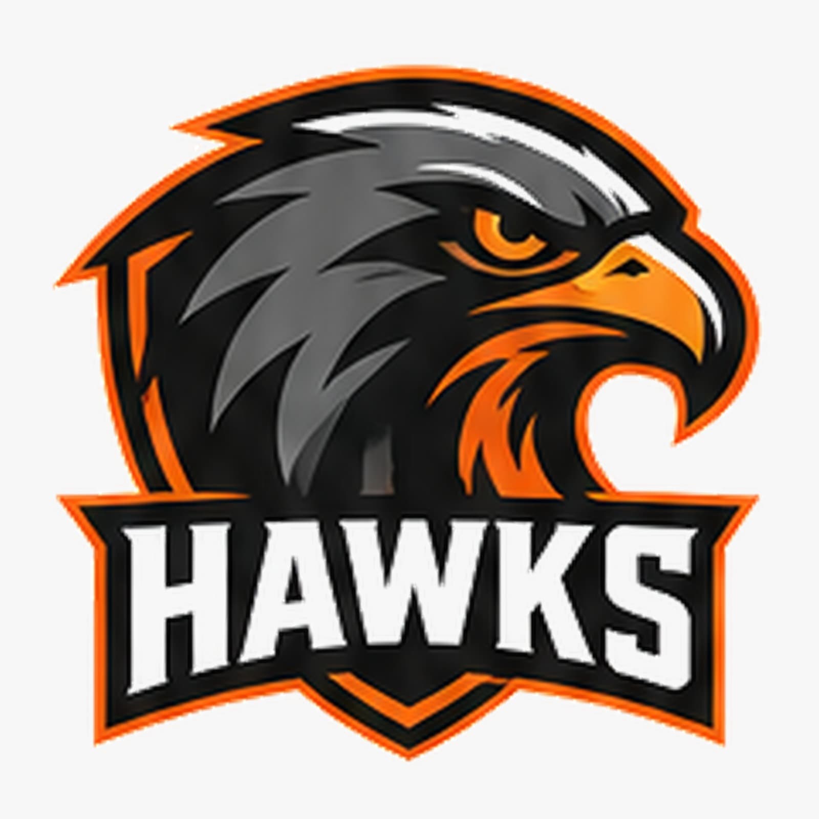HAWKS team logo