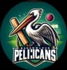 Bahawalpur Pelican