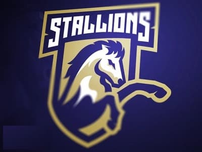 Cyber Stallions team logo