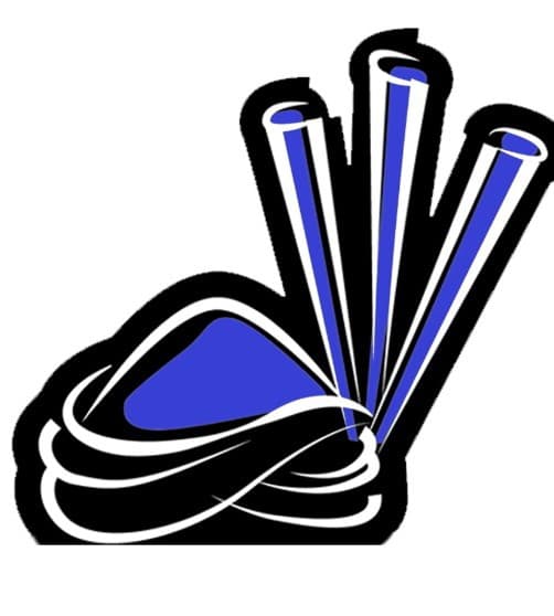 Zalmi team logo