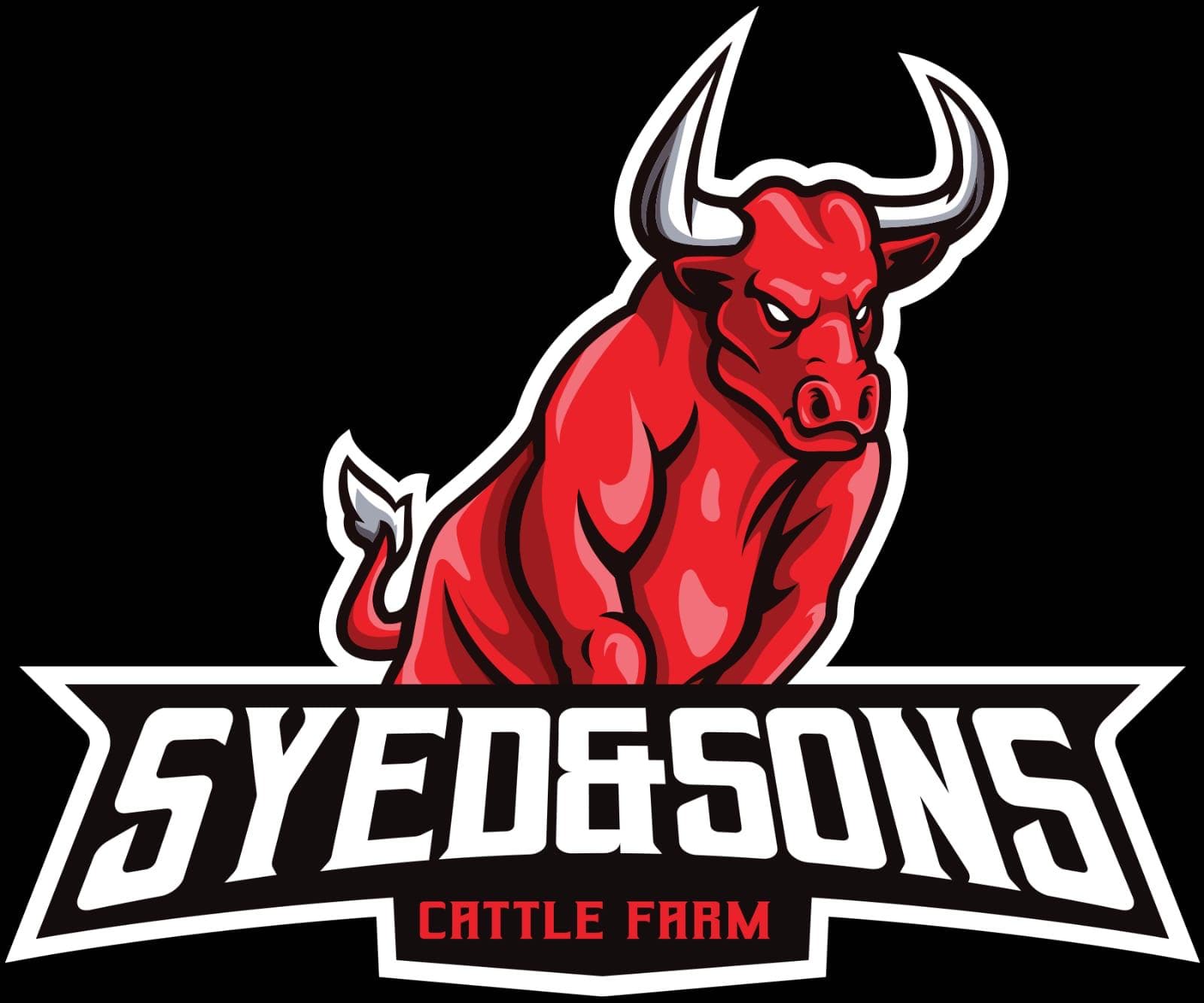 Syed & Sons team logo