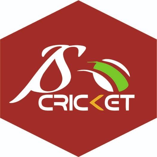 Al Taiba team logo