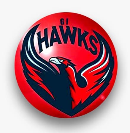 GI-Hawks team logo