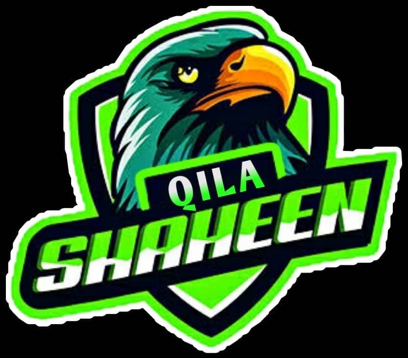 Qilla Shaheen