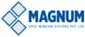Magnum Windows