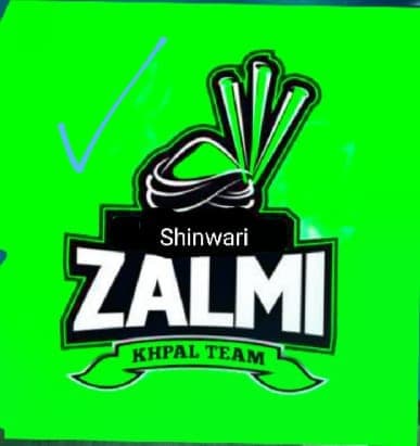 Shinwari Zalmi