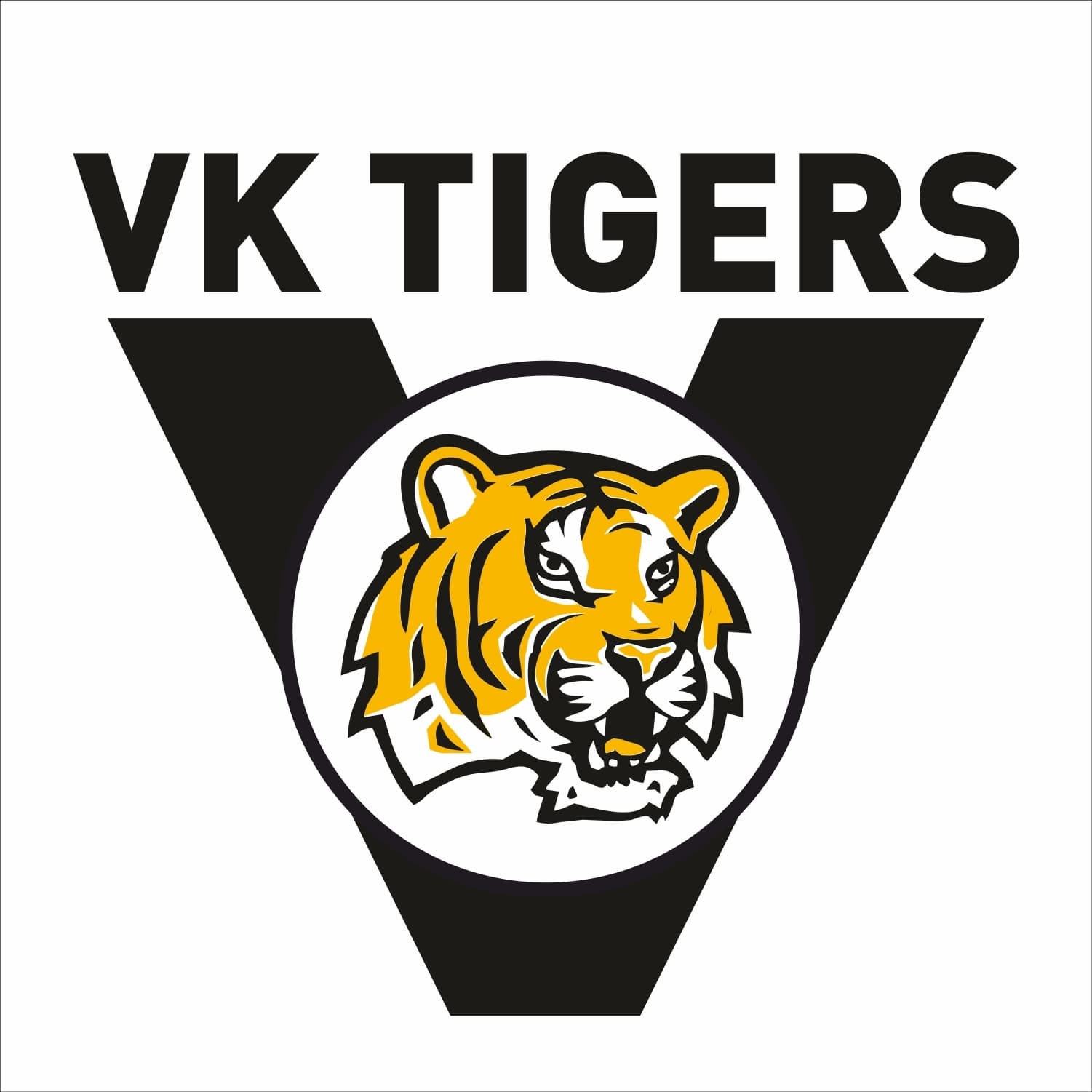Kiran Deshmukh team logo