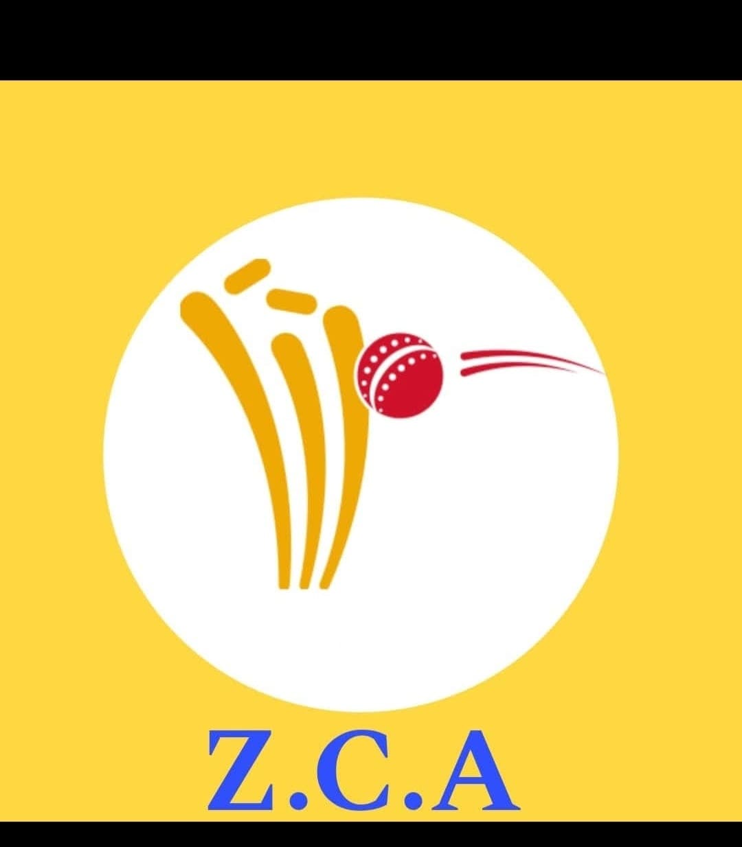 Zewar ShAH CRICKET ACADEMY