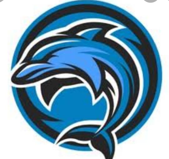 FSD DOLPHIN team logo
