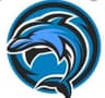 FSD DOLPHIN