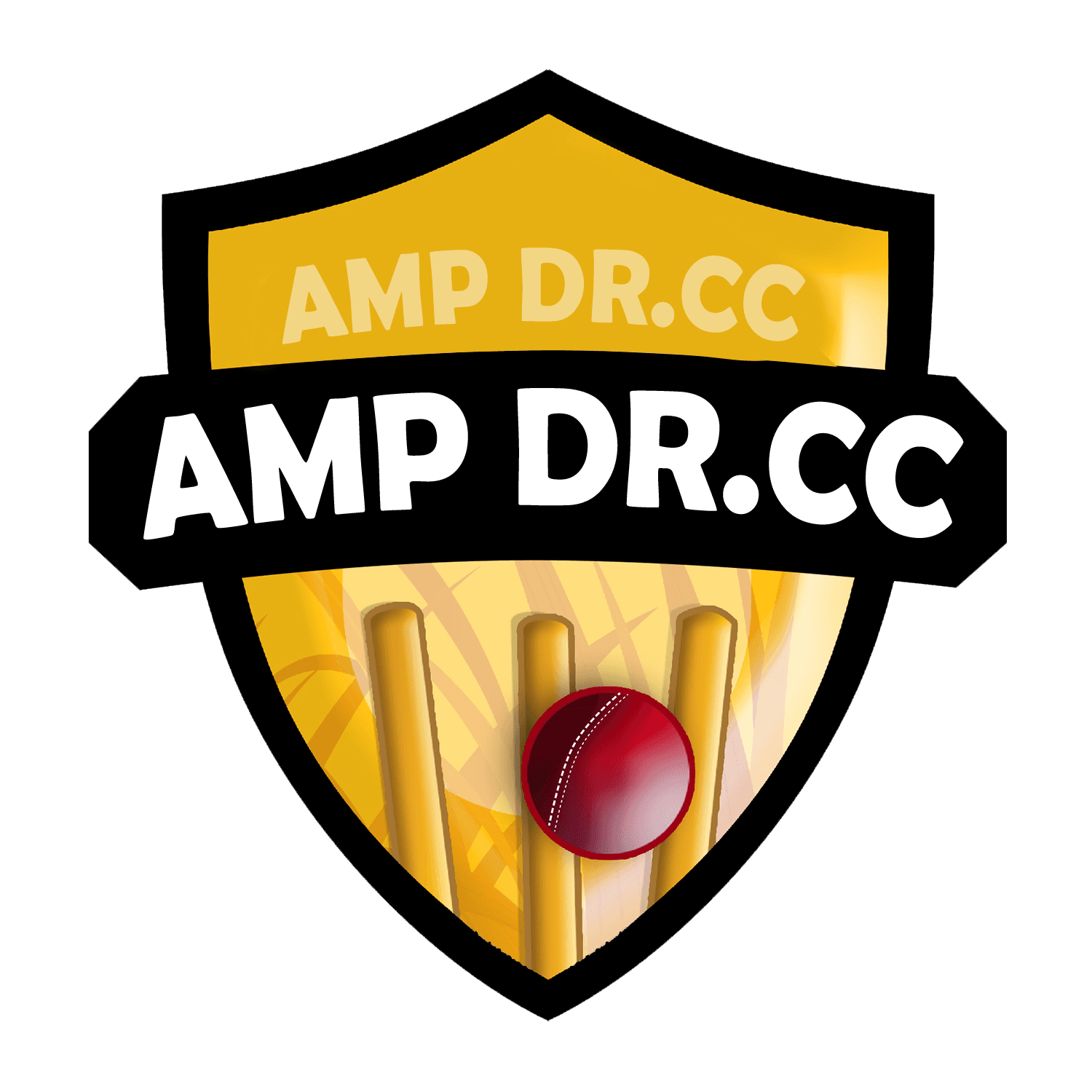 AMP DR CC team logo