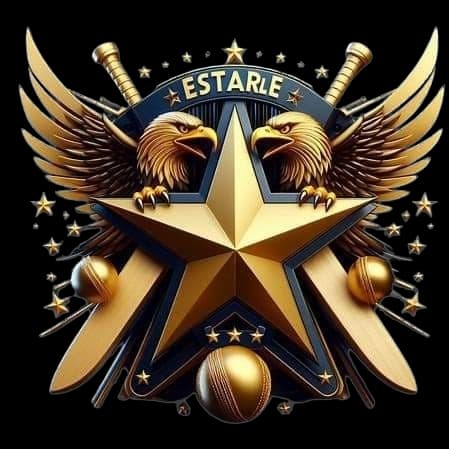 FRIENDS-CLUB team logo