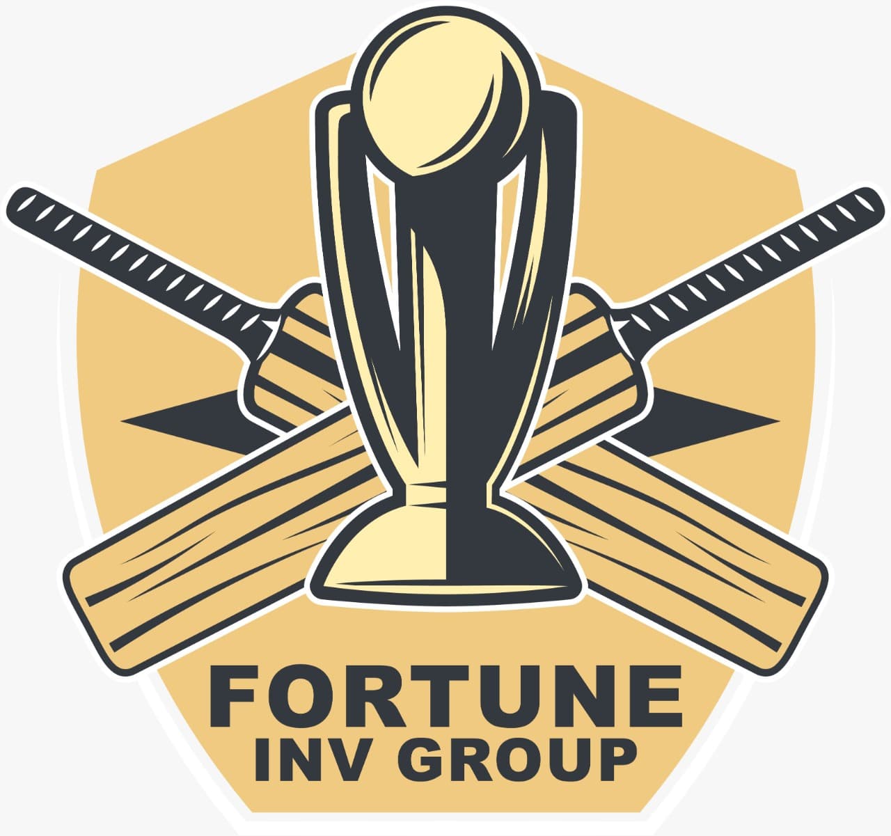 FORTUNE INVESTMENT GROUP team logo