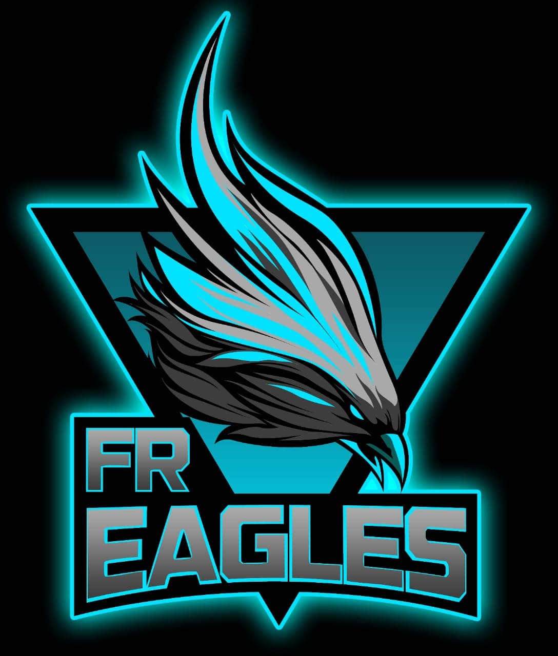 FR Eagles team logo