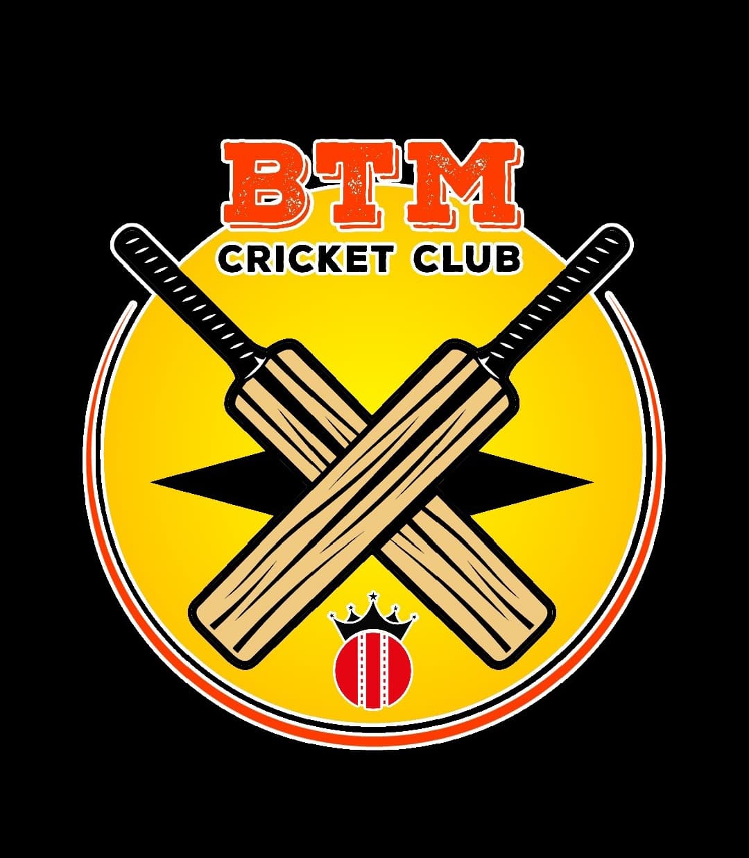 BTM CRICKET CLUB BUREWALA team logo