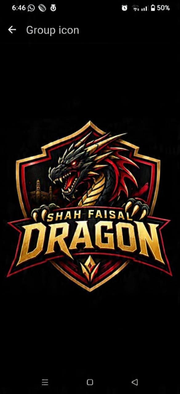 Shah Faisal Dragon team logo