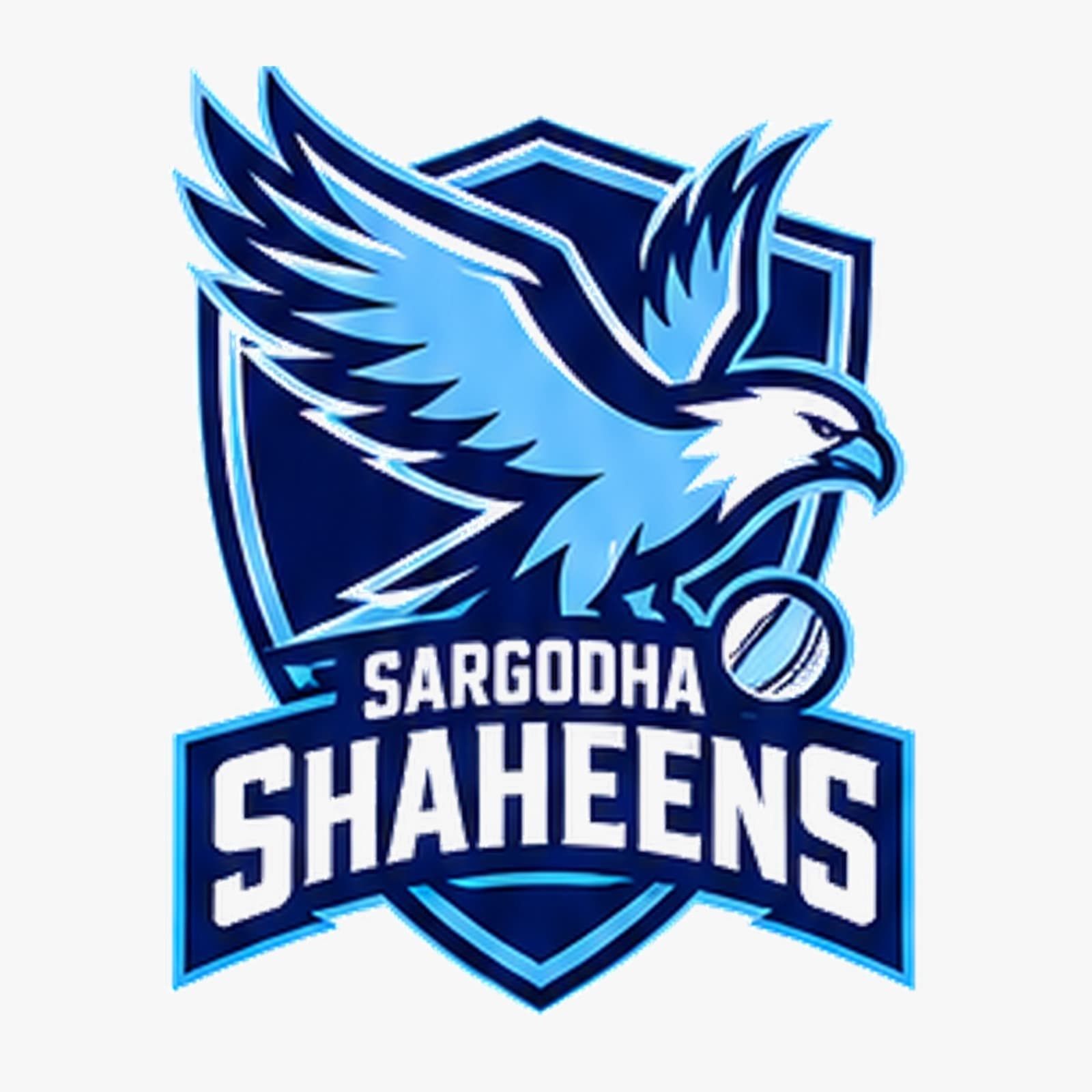 SARGODHA SHAHEENS team logo