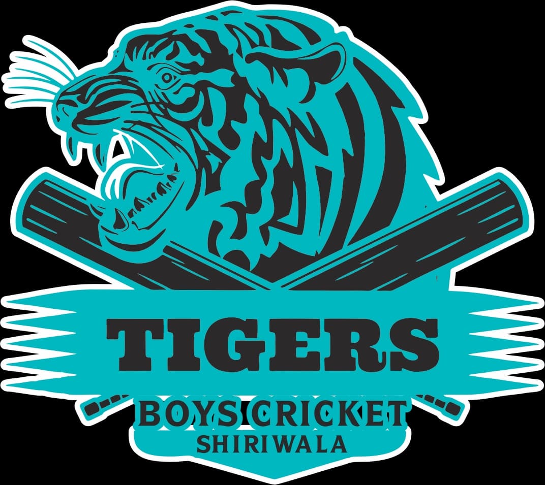 Tigers Boys Cricket Club team logo