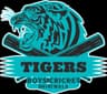 Tigers Boys Cricket Club