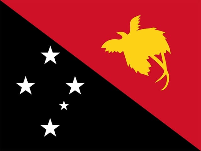 PAPUA NEW GUINEA T20 team logo