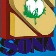 Sona Cricket Club team logo