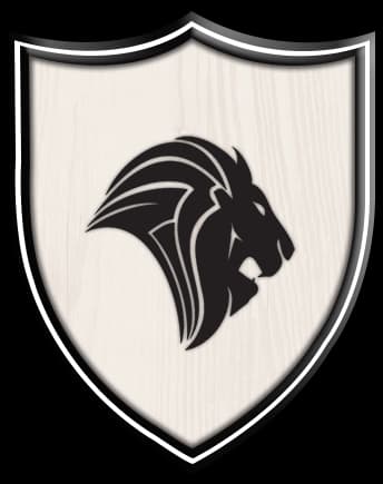 Gulshan Iqbal Lions