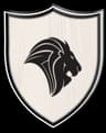 Gulshan Iqbal Lions