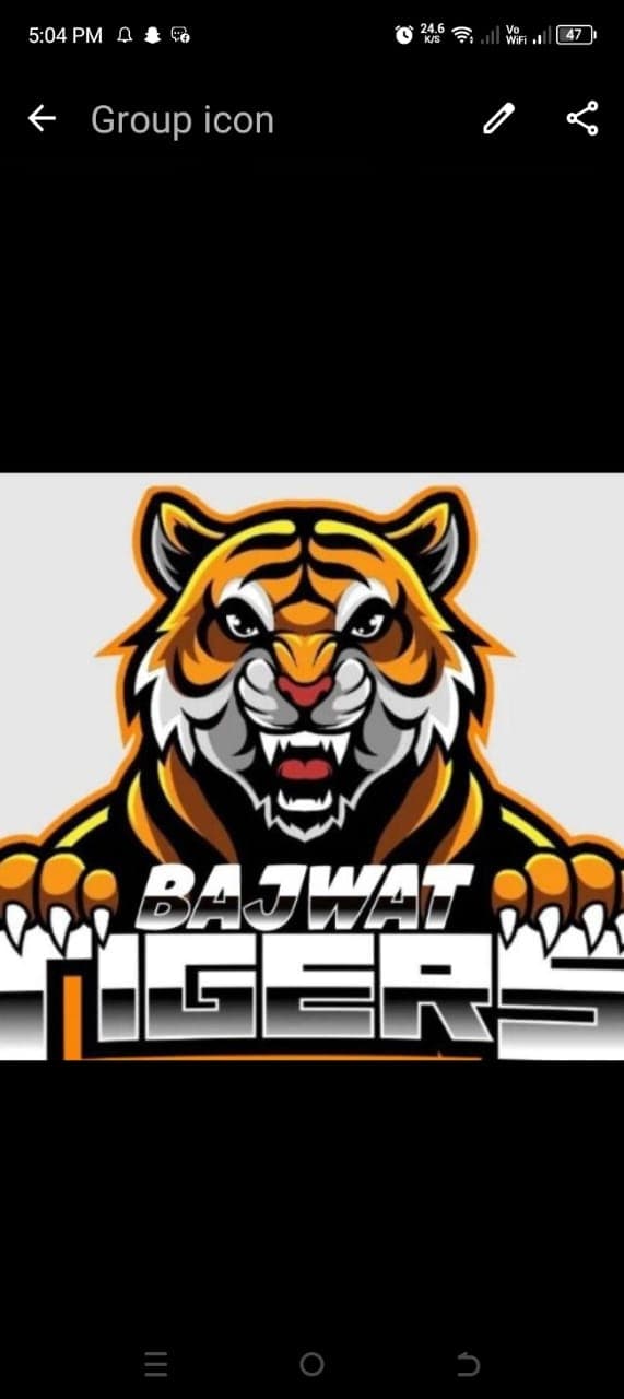 Bajwat Tigers team logo