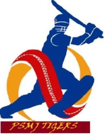 Ahmer Amir team logo