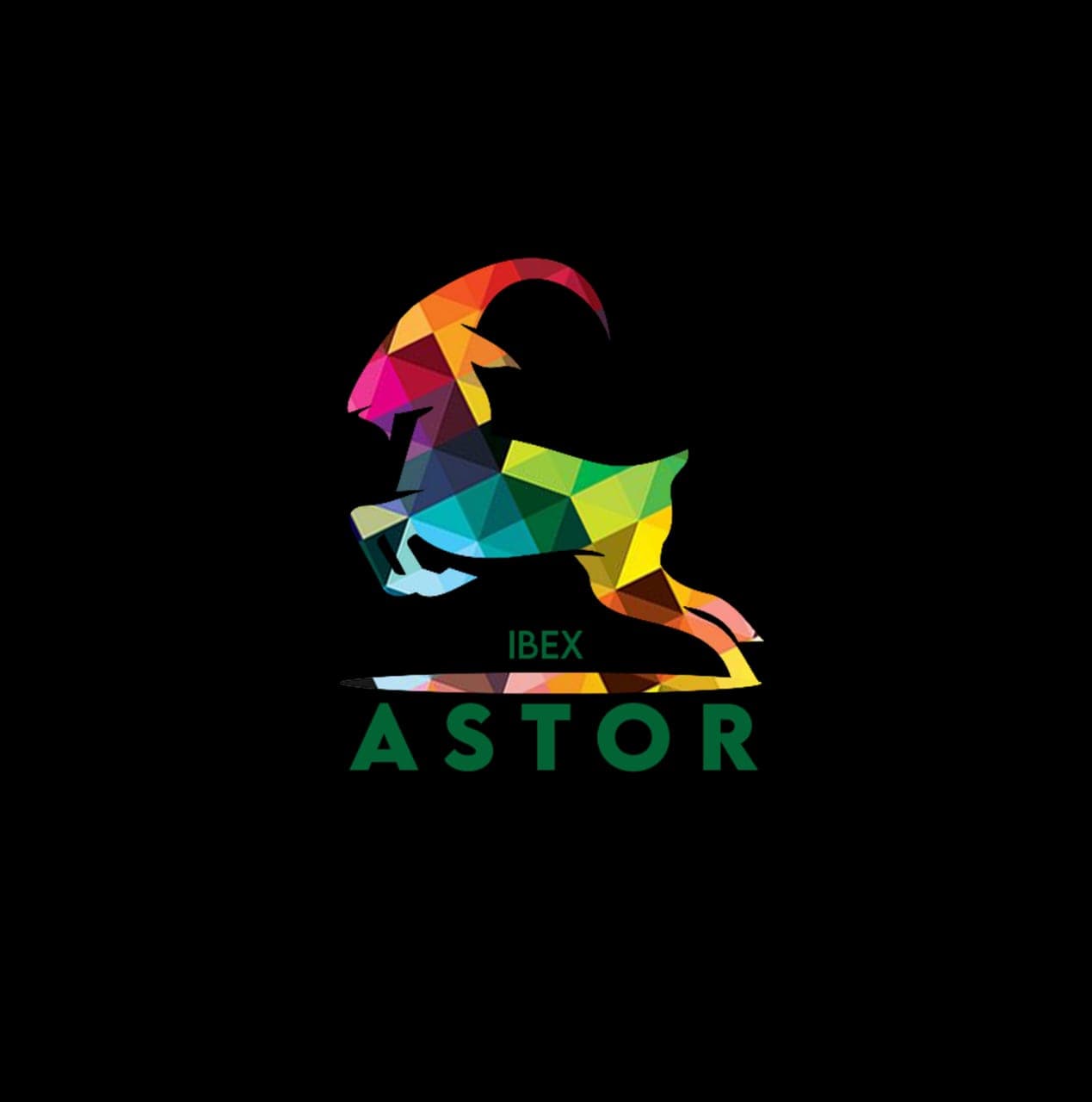 ASTORE IBEX