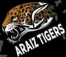Araiz Tiger