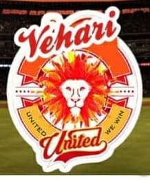 Vehari United team logo