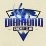 Diamond Cricket Academy