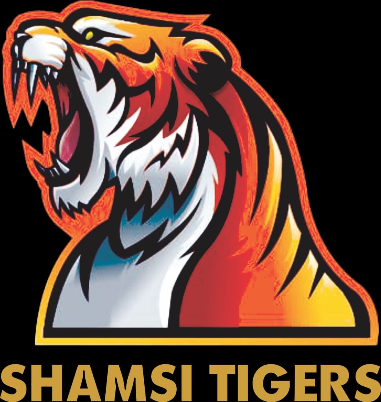 Shamsi Tigers team logo