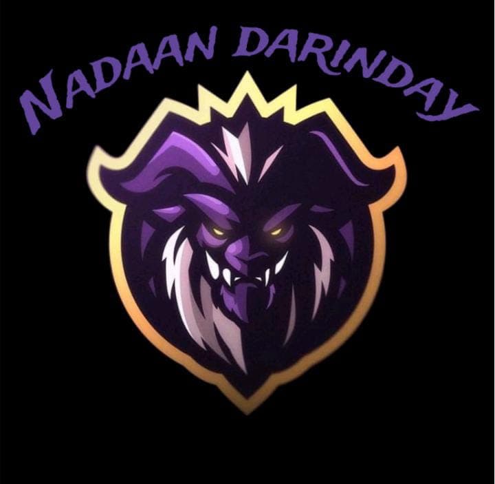 NADAAN DARINDAY team logo