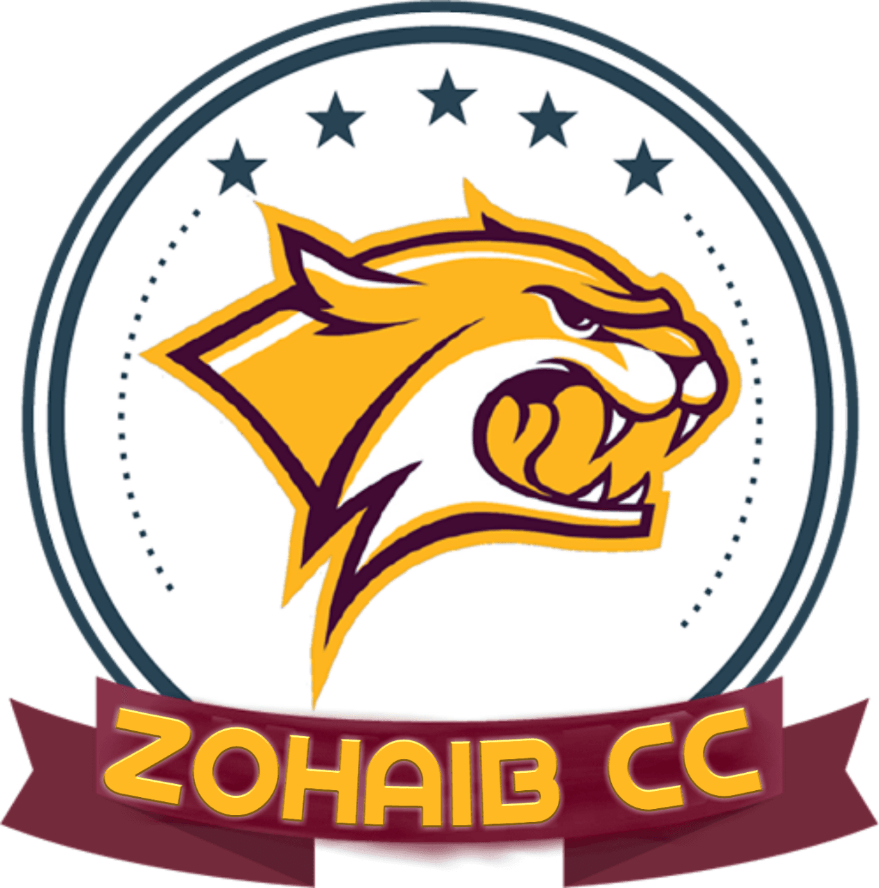 Zohaib CC team logo